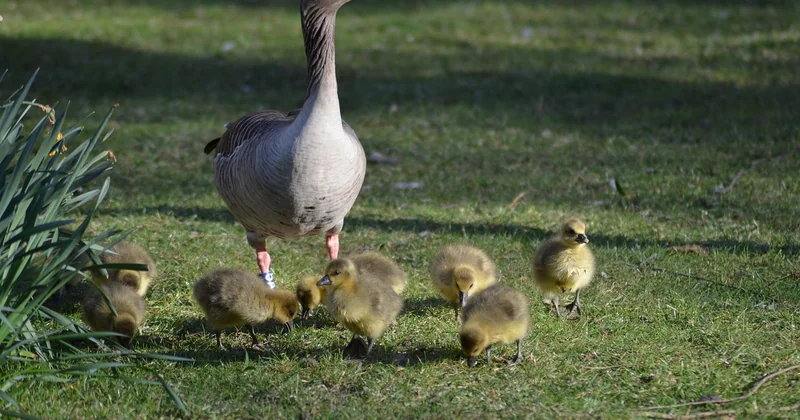 3 Tage Hamburg mit Kindern: ein Ablauf, der sich bewährt hat