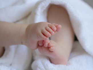 entdecken sie unsere auswahl an baby-essentials, die alles bieten, was sie für die pflege und das wohlbefinden ihres neugeborenen benötigen. von hochwertigen babykleidung über sichere spielzeuge bis hin zu praktischen pflegeprodukten – alles für einen perfekten start ins leben!