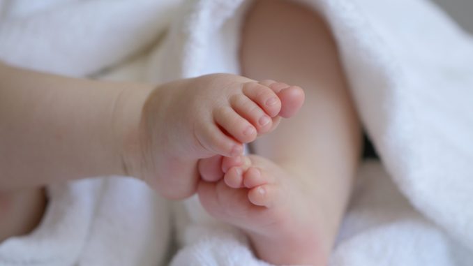 entdecken sie unsere auswahl an baby-essentials, die alles bieten, was sie für die pflege und das wohlbefinden ihres neugeborenen benötigen. von hochwertigen babykleidung über sichere spielzeuge bis hin zu praktischen pflegeprodukten – alles für einen perfekten start ins leben!