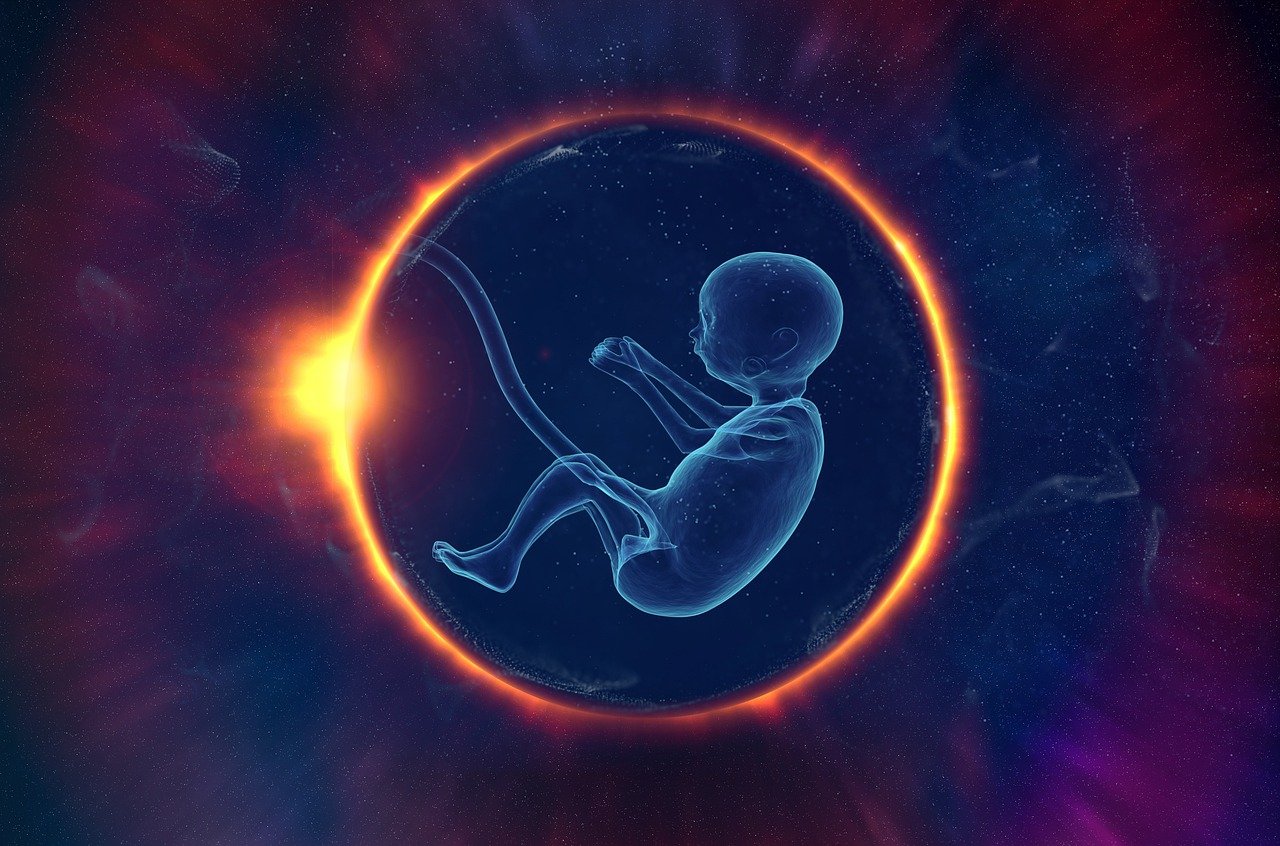 entdecken sie alles über die entwicklung ihres babys: wichtige meilensteine, tipps zur förderung und antworten auf häufige fragen rund um das wachstum im ersten lebensjahr.