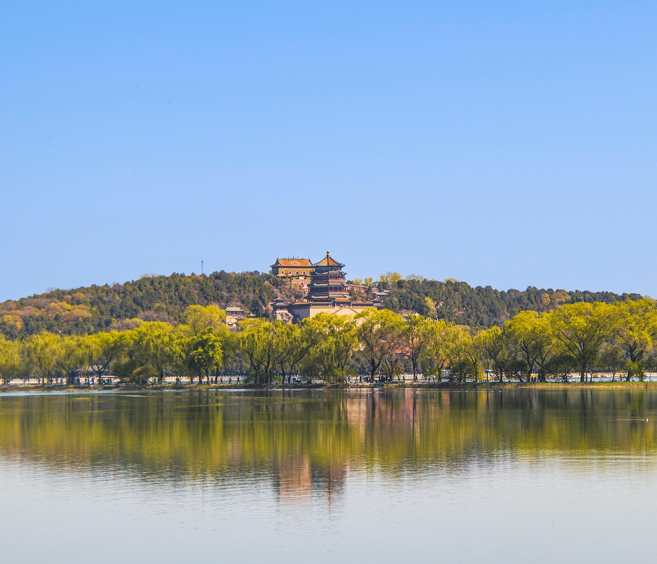 erfahren sie alles über langlebigkeit: tipps und wissenschaftliche erkenntnisse für ein gesundes und langes leben.