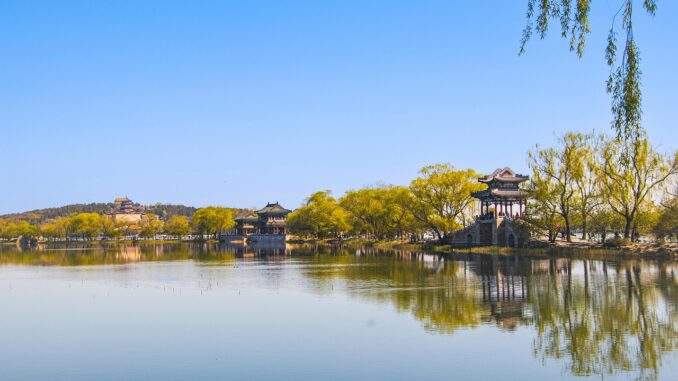 entdecken sie bewährte strategien und tipps für ein gesundes und langes leben. erfahren sie mehr über ernährung, bewegung und lebensstil für mehr langlebigkeit.