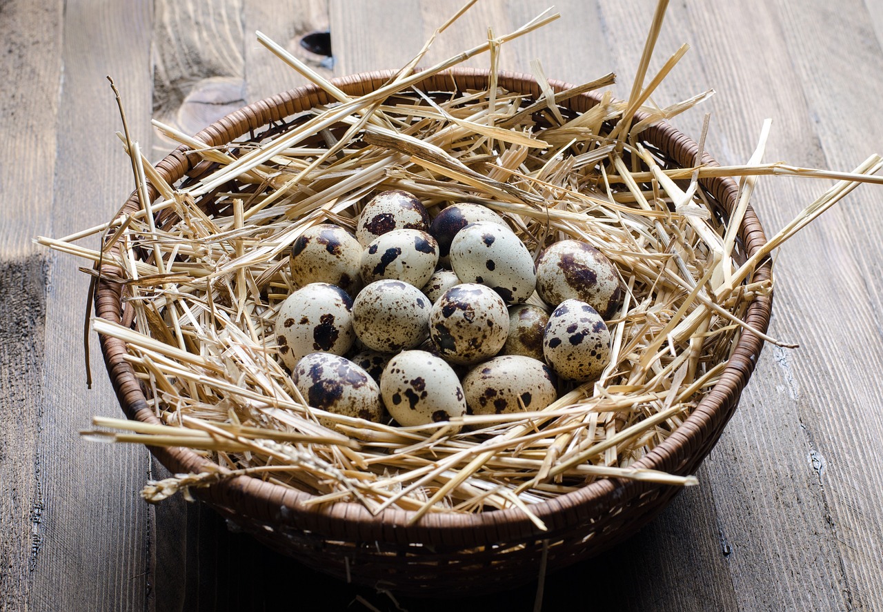 erfahren sie alles wichtige über cholesterin: ursachen, auswirkungen auf die gesundheit und effektive möglichkeiten zur kontrolle und senkung ihres cholesterinspiegels.